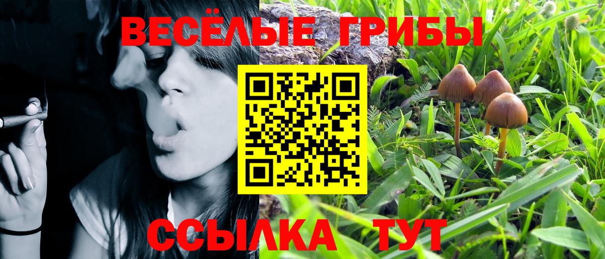 Благовещенск  Галлюциногенные грибы MAGIC MUSHROOMS  Вход с VPN 