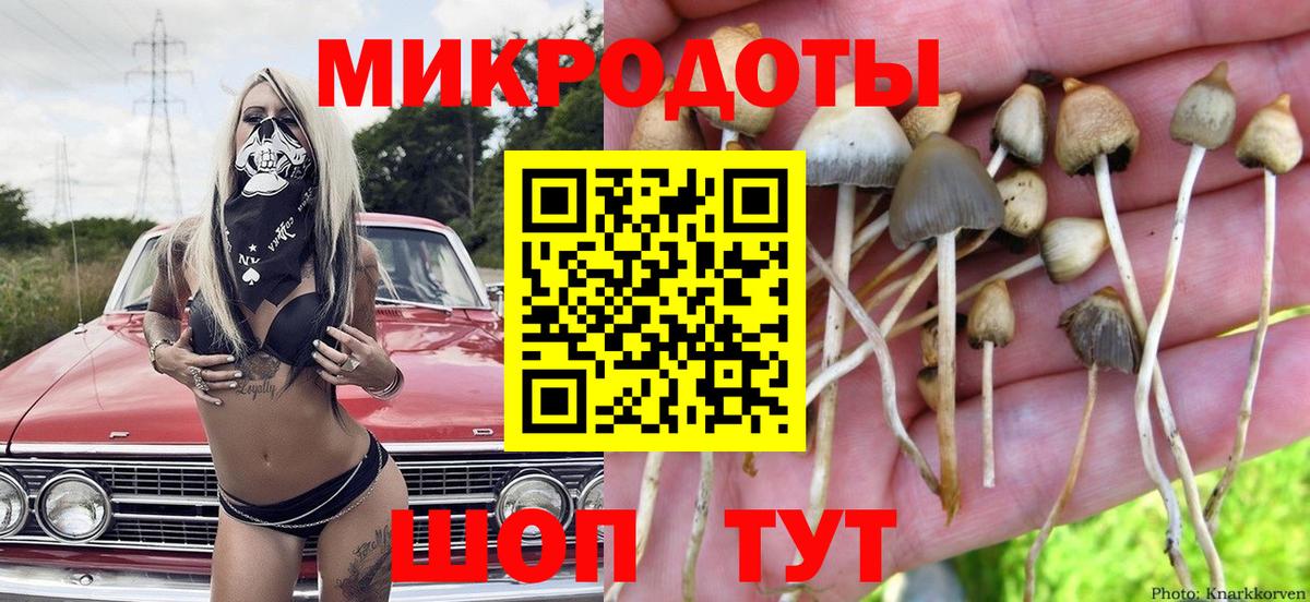ГАШ Благовещенск