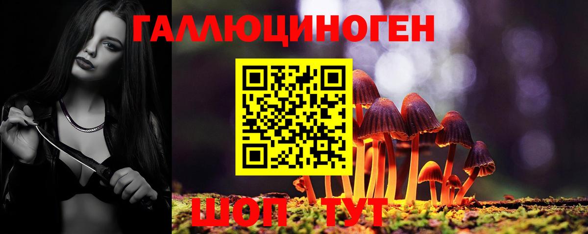 Галлюциногенные грибы Psilocybe Благовещенск